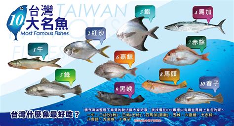 魚 排名